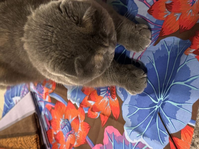 Kaffe PWGP 093 Brown