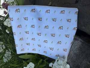 Hovedbilde Sm&aring; kaniner p&aring; lys bl&aring; bakgrunn 